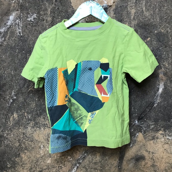 Tea Collection Other - Tea Collection green bear toddler graphic shirt